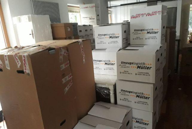 Labor Umzug preise erfahren in Sebnitz