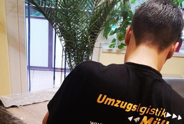 Preise für Ihren Studentenumzug in Sebnitz